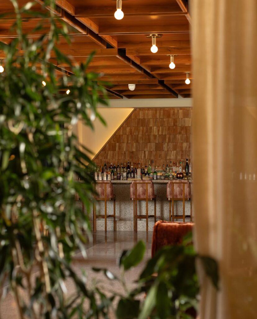 Baja California Sur se convierte en una galería de arte con ABC Art Baja California 2026