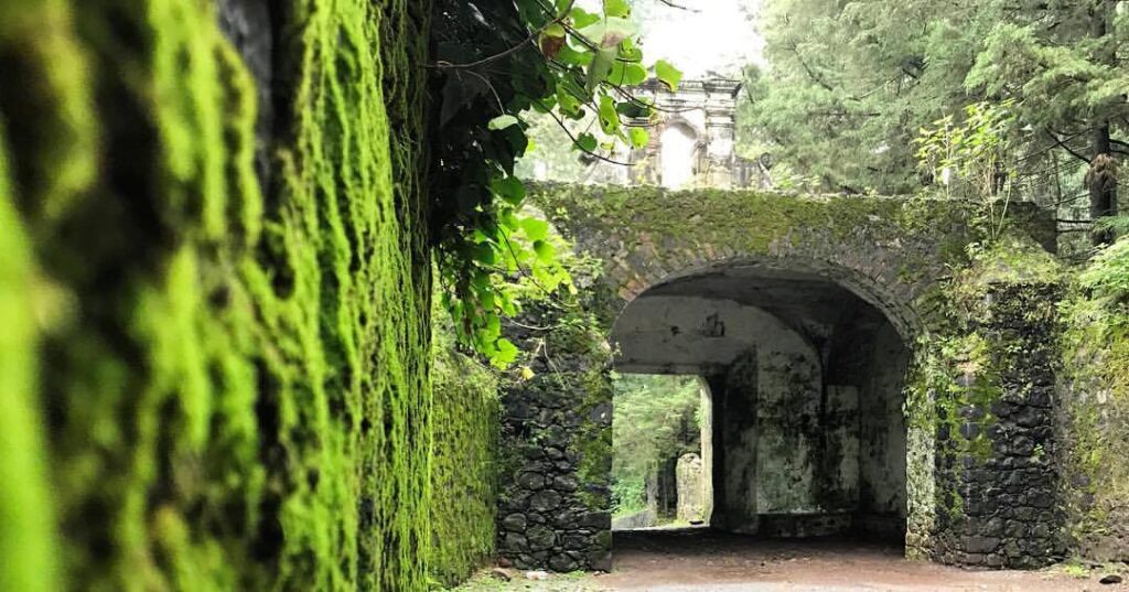 Lugares turísticos de la CDMX para visitar en México este 2026