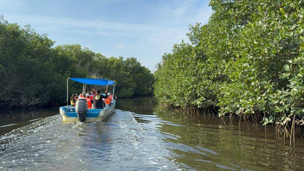 ¿Cuáles son los principales destinos turísticos de Sinaloa que debes visitar en 2026?