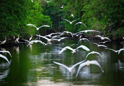 Tabasco: “El Edén” que debes visitar en México este 2026