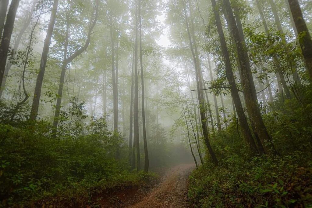 ¿Qué hacer y visitar en Tamaulipas, México, este 2026?