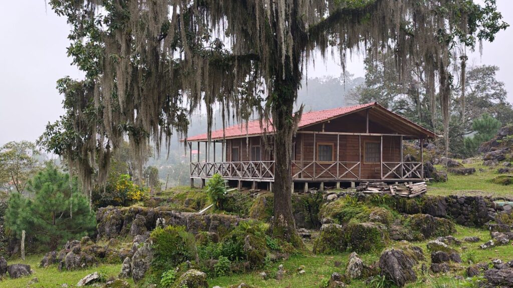 ¿Qué hacer y visitar en Tamaulipas?