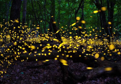 Lugares turísticos que debes visitar en Tlaxcala, el gran tesoro natural y cultural de México