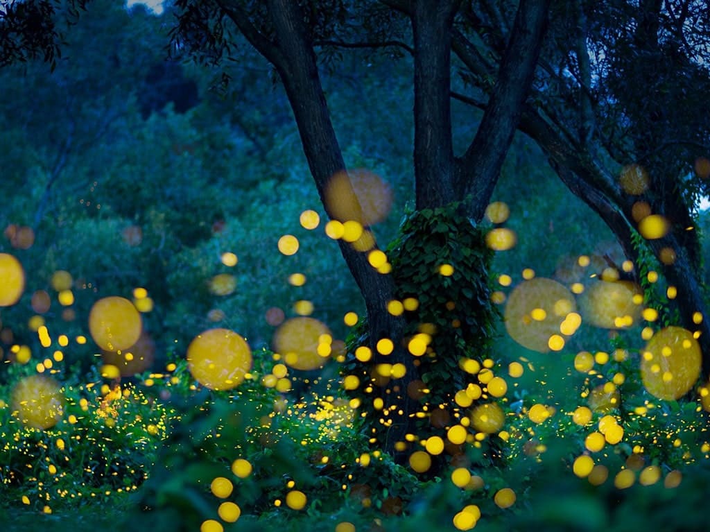 特拉斯卡拉必游景点：墨西哥的瑰宝